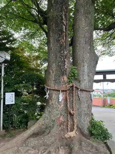 比々多神社(神奈川県)