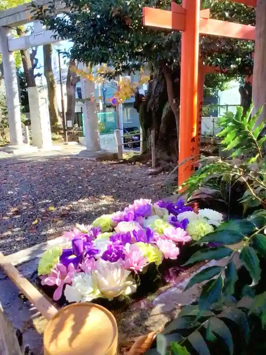 本郷氷川神社(東京都)