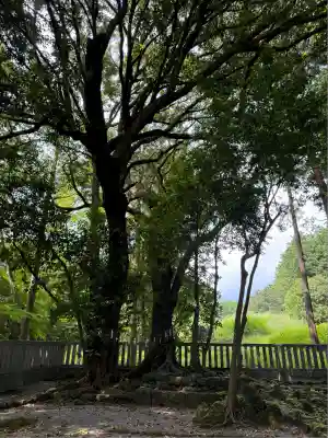 山宮浅間神社(静岡県)