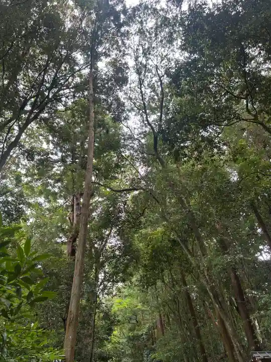 大神神社(奈良県)