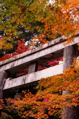 大原野神社(京都府)