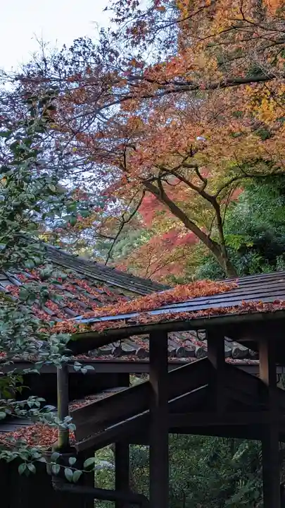 青蓮院門跡(京都府)