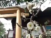 水稲荷神社の鳥居