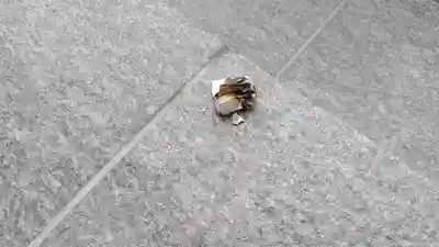 法雲寺(京都府)