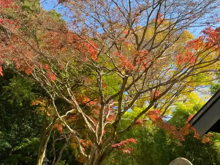 西明寺(栃木県)