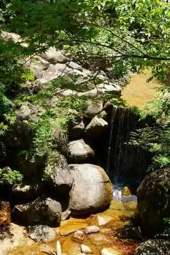 四宮神社の自然