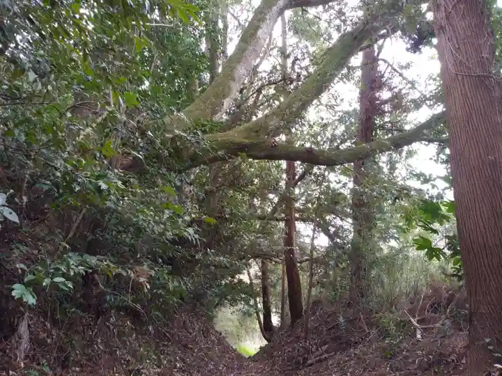 諏訪神社の周辺