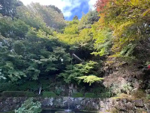 善峯寺(京都府)