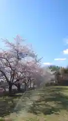 相馬神社の自然