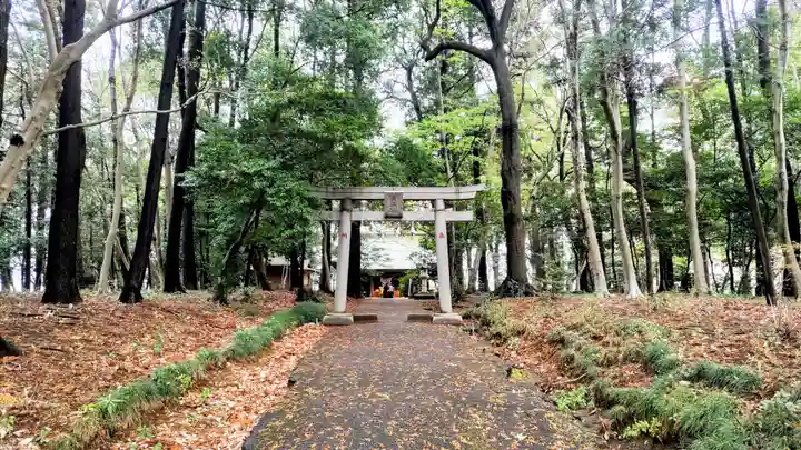 東蕗田天満社(茨城県)