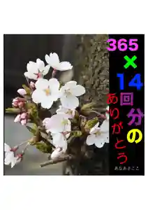 耕田院(山形県)(2024年04月05日(金) 04時38分52秒投稿)