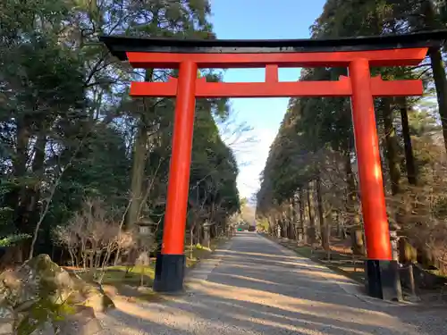 霧島神宮の鳥居