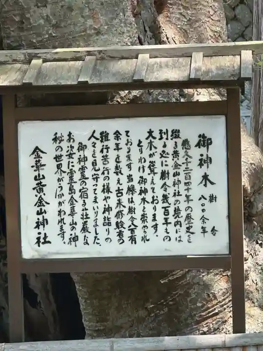 金華山黄金山神社(宮城県)