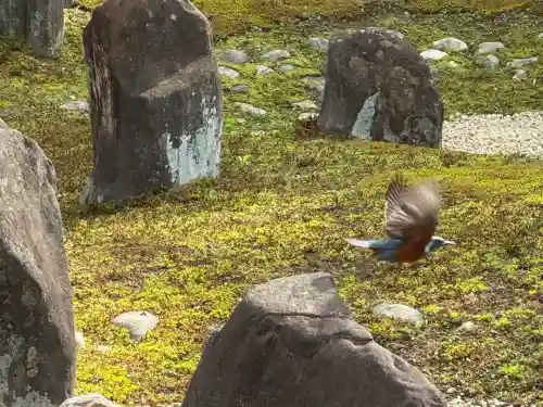 光明院（光明禅院）(京都府)