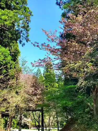 土津神社｜こどもと出世の神さま(福島県)