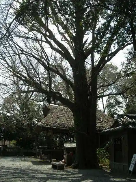 玉敷神社のその他建物