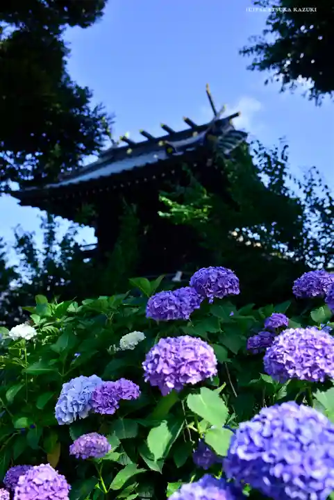 白山神社の庭園