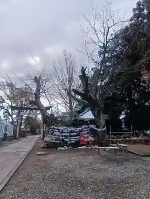 手力雄神社(岐阜県)