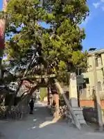 荏柄天神社(神奈川県)