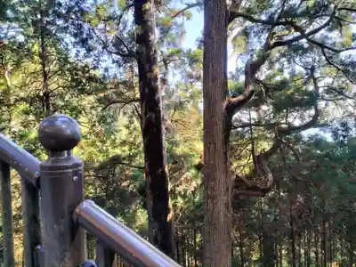 秋葉山本宮 秋葉神社 上社(静岡県)