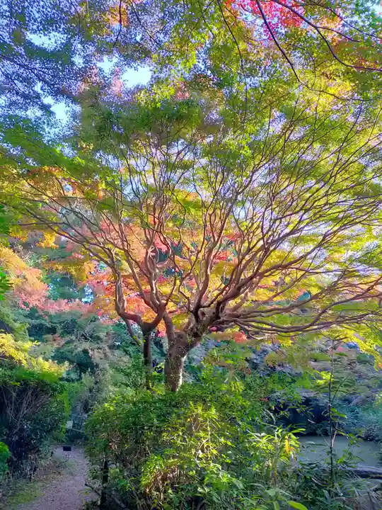 不退寺(奈良県)