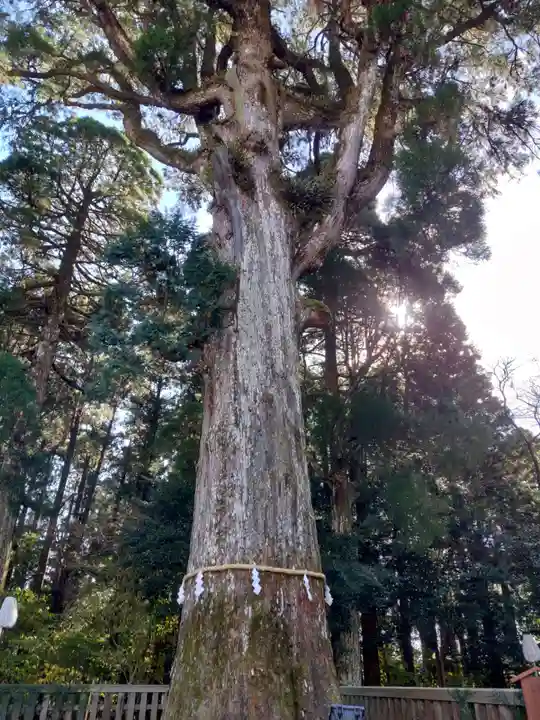霧島神宮(鹿児島県)