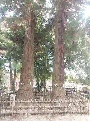 大田原神社(栃木県)