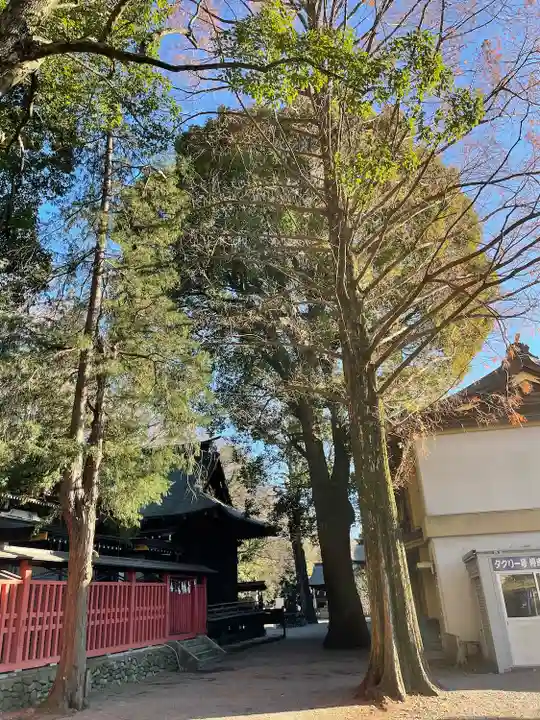 谷保天満宮(東京都)