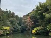 伏見稲荷大社(京都府)