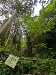 加蘇山神社 奥ノ宮の自然