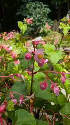 寂光院(京都府)