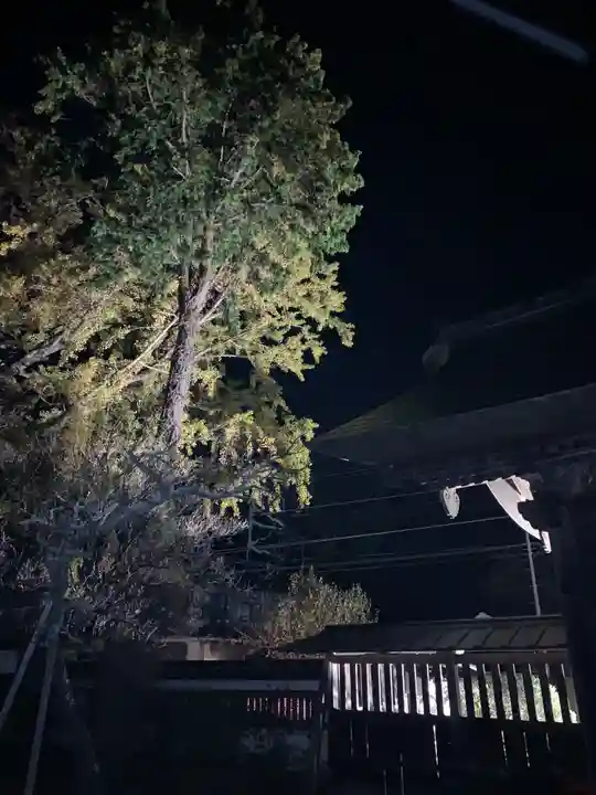 円通寺(栃木県)