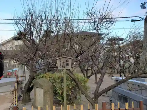 綱敷天満宮の庭園