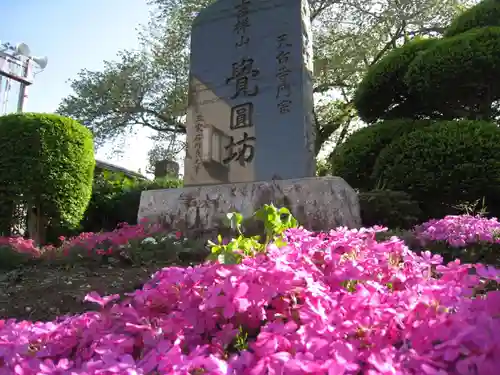 覚円坊(覺圓坊）(東京都)