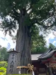 北口本宮冨士浅間神社(山梨県)