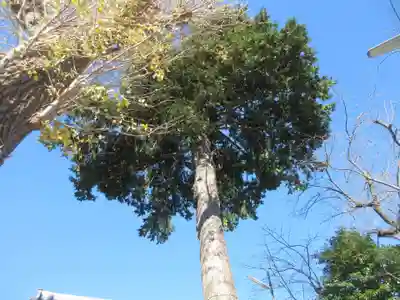 金山神社(神奈川県)