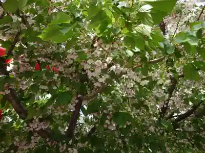 大綱金刀比羅神社(神奈川県)