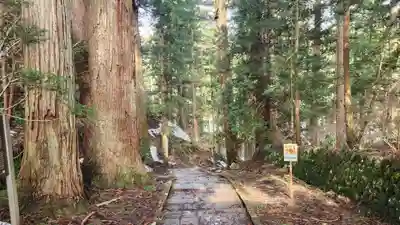 羽黒山五重塔(出羽三山神社)(山形県)