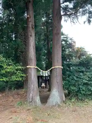 金枝白蛇大権現(栃木県)