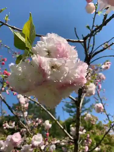 白雲神社(京都府)