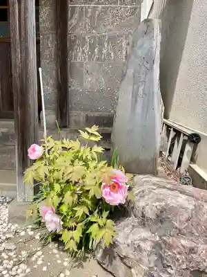 浄光寺(東京都)