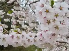 高倉神社の周辺