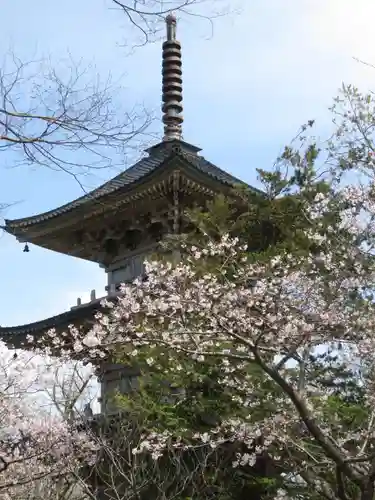 国分寺の建物その他