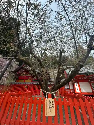 金櫻神社(山梨県)