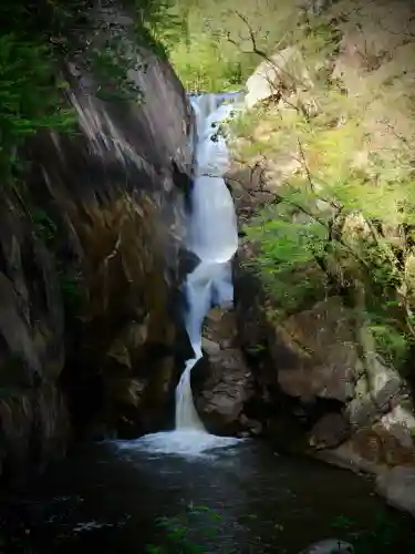金櫻神社の{uncategorized: "未分類", other: "その他", undefined: "問題あり", building: "その他建物", grave: "お墓", sacred_gate: "鳥居", guardian: "狛犬", statue: "像", buddha: "仏像", history: "歴史", nature: "自然", garden: "庭園", animal: "動物", pagoda: "塔", temizu: "手水舎", mountain_gate: "山門・神門", sanctuary: "本殿・本堂", subordinate: "末社・摂社", art: "芸術", scenery: "景色", jizo: "地蔵", ema: "絵馬", goshuin: "御朱印", omikuji: "おみくじ", items: "授与品その他", amulet: "お守り", goshuincho: "御朱印帳", eats: "食事", festival: "お祭り", votive_dance: "神楽", shichigosan: "七五三参", wedding: "結婚式", experience: "体験その他", initially: "初詣", around: "周辺", anti_infection: "感染症対策"}
