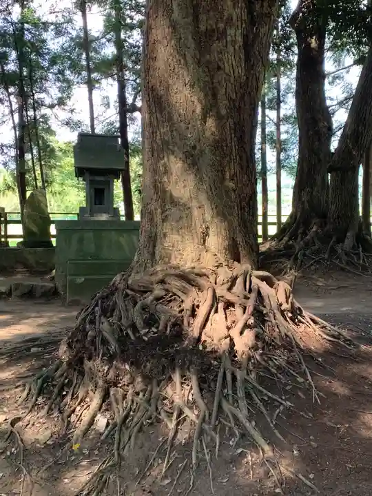 薩都神社(茨城県)