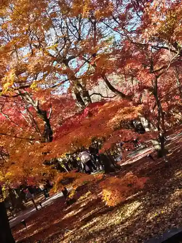 東福禅寺（東福寺）(京都府)