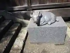 赤羽八幡神社の狛犬