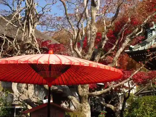 海蔵寺の景色