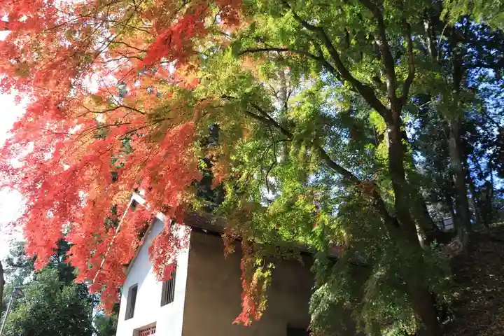 田村神社の自然